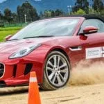 jaguar, jaguar colombia