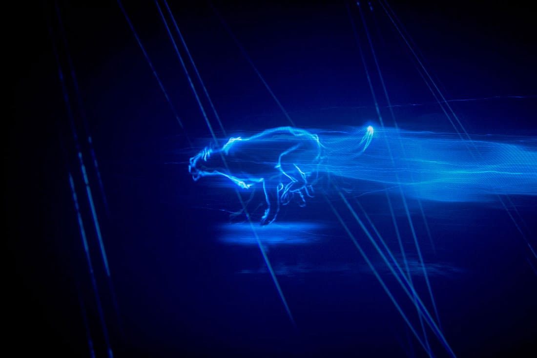 ford puma, ford puma 2020, puma ford, ford puma caracteristicas, nueva ford puma, ford puma especificaciones, ford puma ecoboost hybrid, ford puma microhibrida, ford puma suv, ford puma suv compacta, ford puma motor, ford puma ficha tecnica, ford puma noticias, ford puma imagenes, ford puma fotos, ford puma lanzamiento, ford puma presentacion, suv ford puma caracteristicas