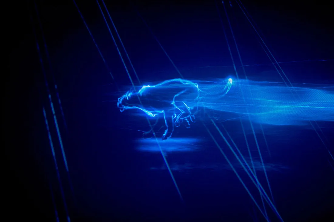 ford puma, ford puma 2020, puma ford, ford puma caracteristicas, nueva ford puma, ford puma especificaciones, ford puma ecoboost hybrid, ford puma microhibrida, ford puma suv, ford puma suv compacta, ford puma motor, ford puma ficha tecnica, ford puma noticias, ford puma imagenes, ford puma fotos, ford puma lanzamiento, ford puma presentacion, suv ford puma caracteristicas