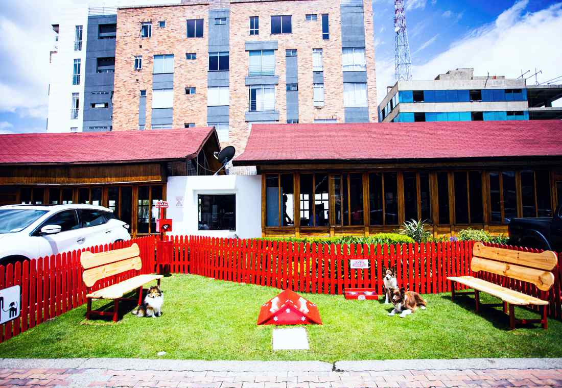 nissan pet-friendly, empresas pet-friendly en colombia, sello zoolidario, empresas con sello zoolidario, concesionarios nissan pet-friendly en colombia, empresas que reciben mascotas en colombia, empresas que reciben perros en colombia, empresas que reciben gatos en colombia, locales donde se pueden llevar perros y gatos, locales donde se pueden llevar mascotas, instituto distrital de protección y bienestar animal, idpyba bogota, empresas amigables con las mascotas en colombia