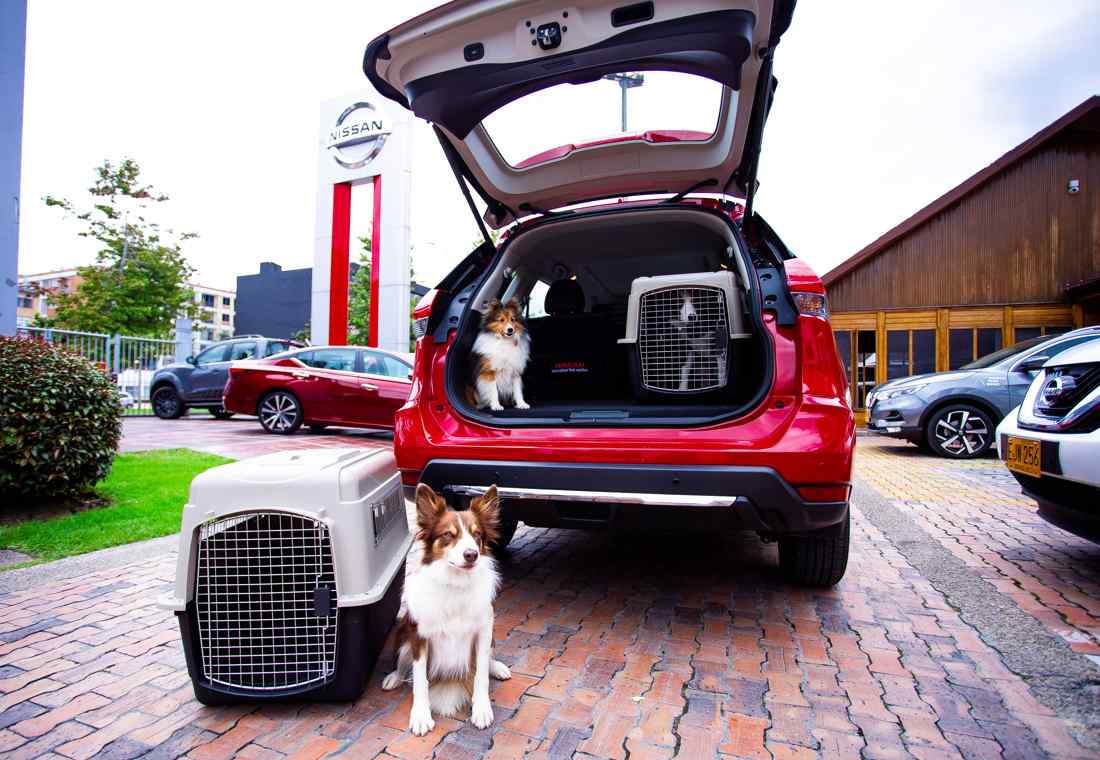 nissan pet-friendly, empresas pet-friendly en colombia, sello zoolidario, empresas con sello zoolidario, concesionarios nissan pet-friendly en colombia, empresas que reciben mascotas en colombia, empresas que reciben perros en colombia, empresas que reciben gatos en colombia, locales donde se pueden llevar perros y gatos, locales donde se pueden llevar mascotas, instituto distrital de protección y bienestar animal, idpyba bogota, empresas amigables con las mascotas en colombia