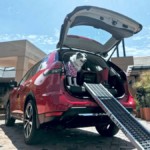 nissan x-trail pets, nissan x-trail pets colombia, nissan x-trail pets precio, nissan x-trail pets precio colombia, nissan x-trail 2020, nissan x-trail 2020 colombia, nissan x-trail 2020 precio colombia, nissan x-trail 2020 precio, nissan x-trail pets caracteristicas, nissan x-trail para perros, nissan x-trail para mascotas, nissan x-trail para gatos, nissan x-trail pets auto familiar, nueva nissan x-trail, suv familiar