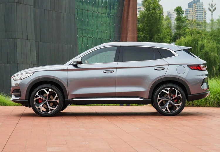 Byd song plus dm