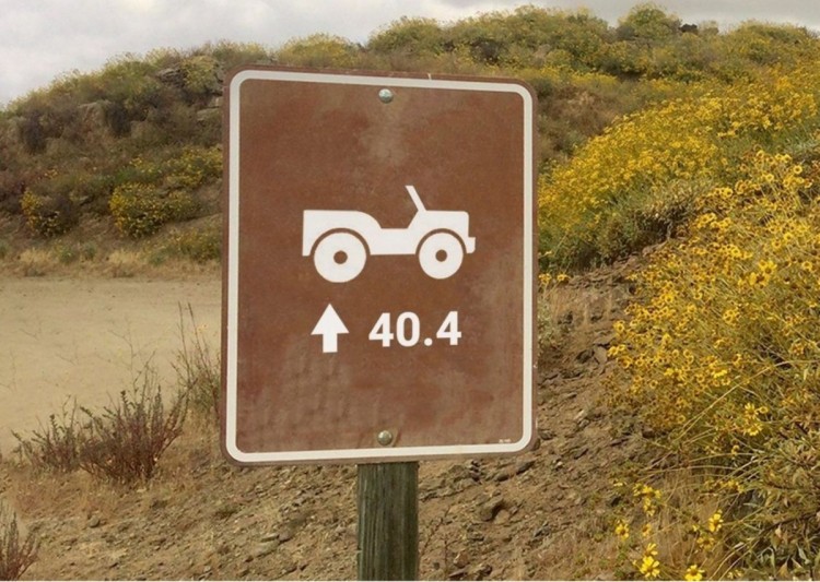 jeep wrangler, jeep wrangler 2021, jeep wrangler teaser, jeep wrangler nueva version, jeep wrangler imagen, jeep wrangler todoterreno, jeep wrangler fotos, jeep wrangler noticias, jeep wrangler colombia, jeep wrangler argentina, jeep wrangler peru, jeep wrangler chile