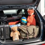 El baúl de un auto es más sucio que un sanitario