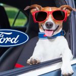 Ford Modo Mascota patente
