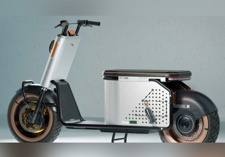 Pro.Zui scooter electrico