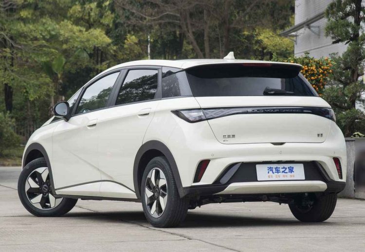 BYD Dolphin 2025 actualización