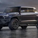Dongfeng M-Hero pick