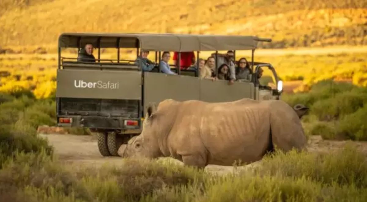 Uber Safari