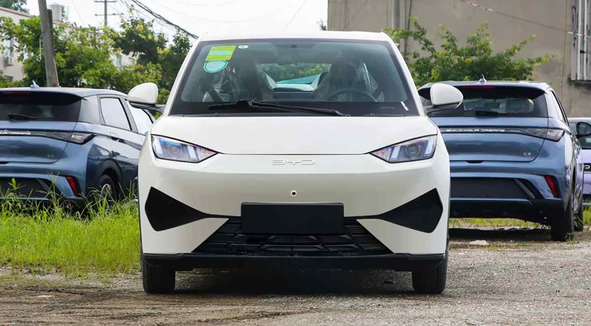 BYD Seagull Dolphin Mini 2026