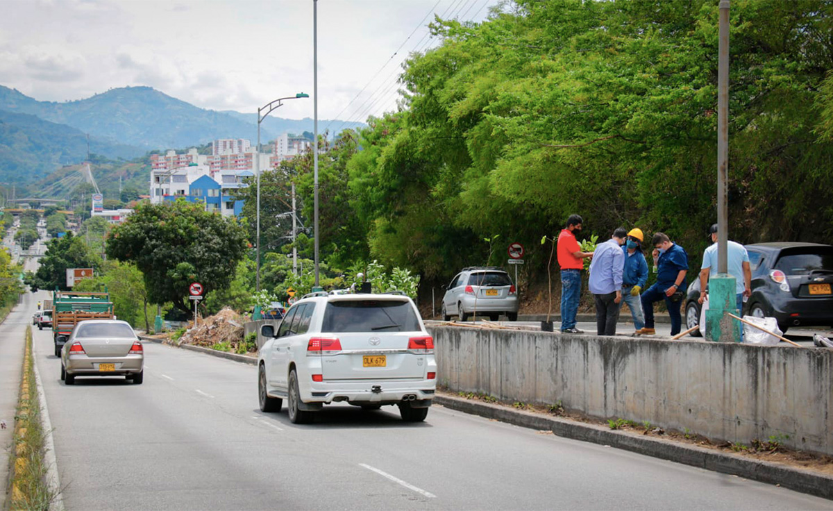 Pico y placa carros híbridos Colombia
