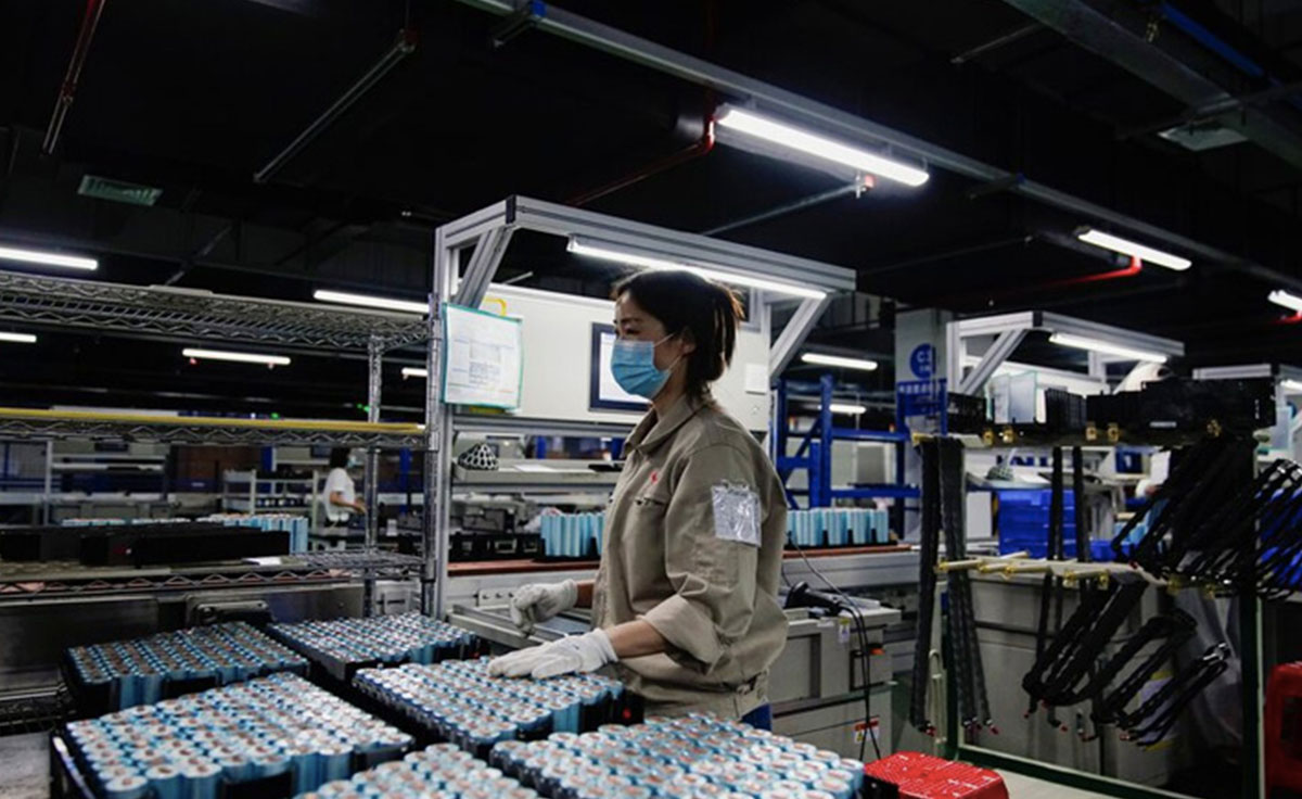 Microchips China