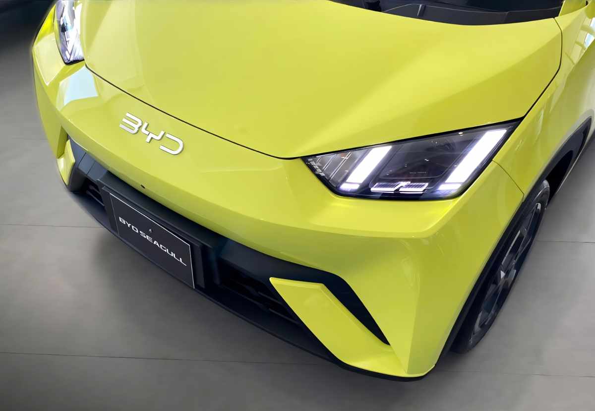 BYD Seagull Colombia Dolphin Mini Dolphin Surf