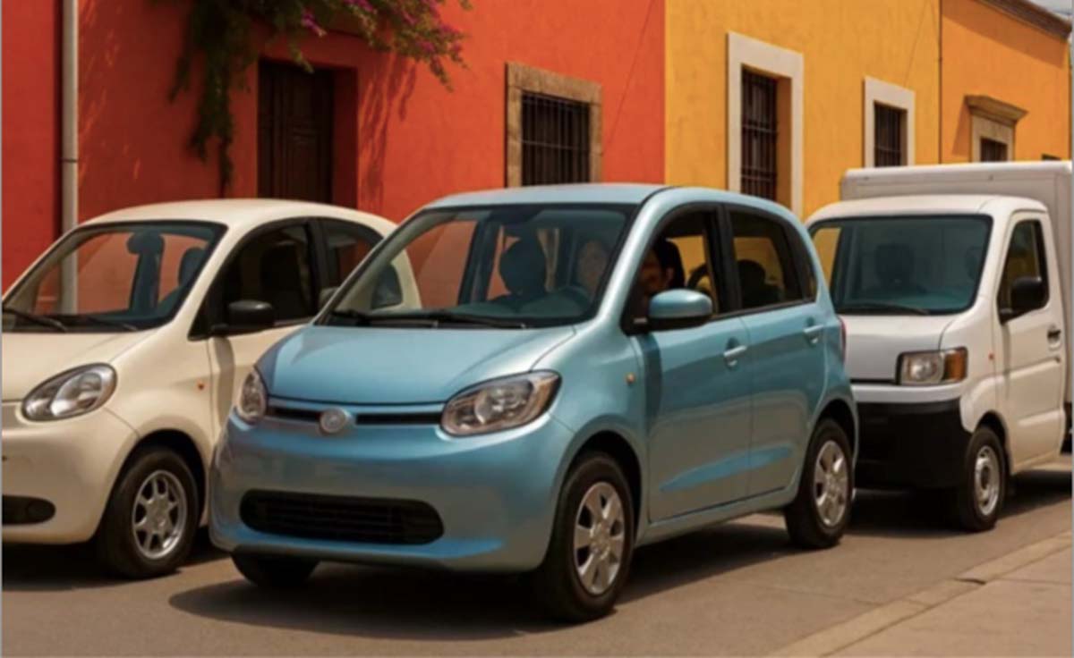 Olinia México mini auto