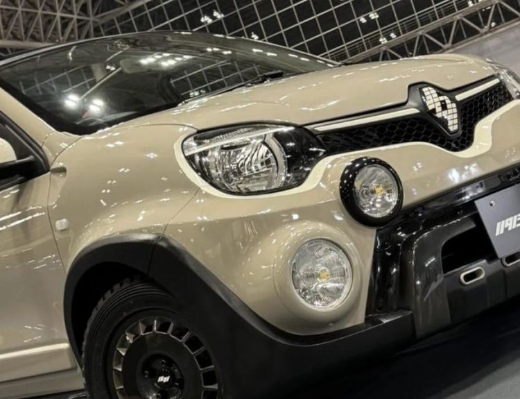Renault Twingo modificado