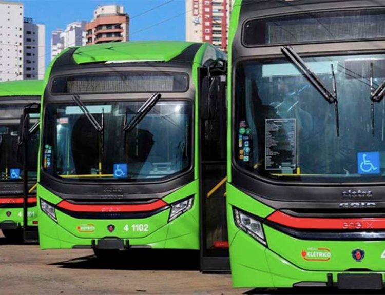Buses eléctricos chinos