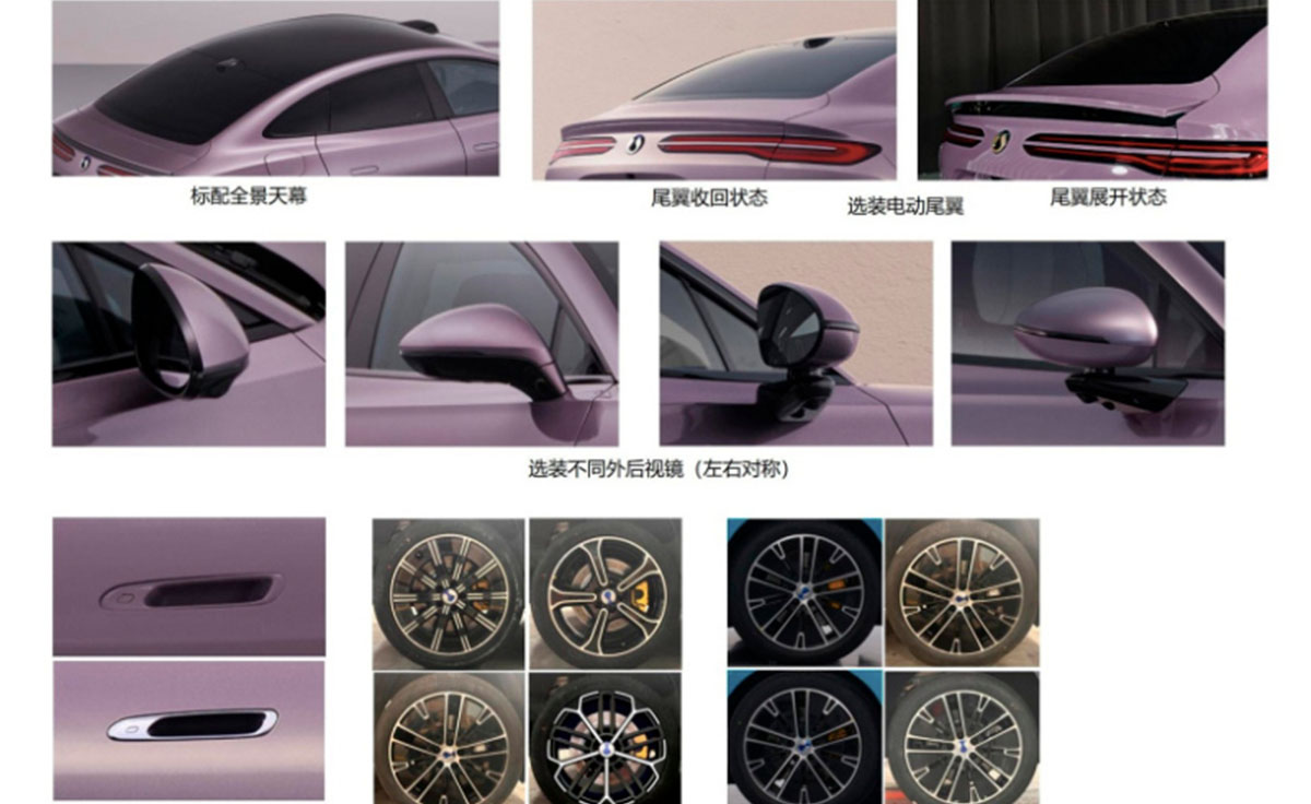 BYD Denza Z9S 2026