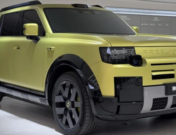 Freelander 8